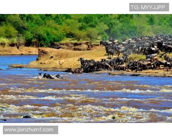 肯尼亚与坦桑尼亚的精彩对决分析及未来发展展望
